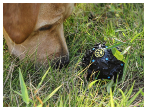 Мячик для собак Youpin Dog Leakage Food - XT28-5001 - фотография № 12