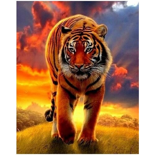 Алмазная мозаика на подрамнике 40х50 Тигр на закате 1299₽