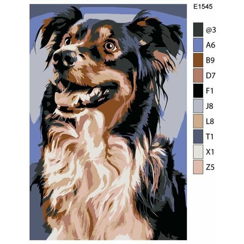 Детская картина по номерам E1545 Собака Бордер-Колли 20x30