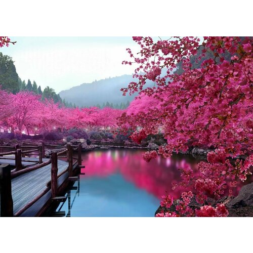 Моющиеся виниловые фотообои Цветущая сакура у воды. Япония, 280х200 см