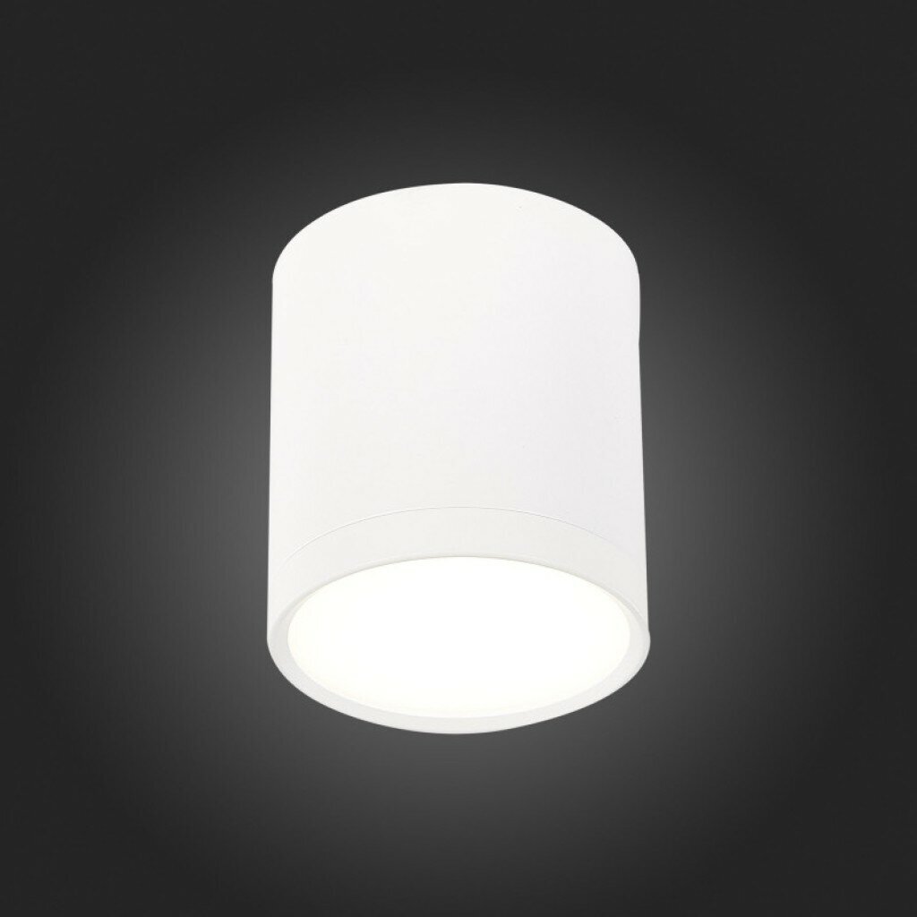 Накладной светильник ST-Luce ST113.542.05 - фотография № 3
