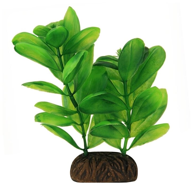 Растение пластиковое Самолюс зеленый, 100мм