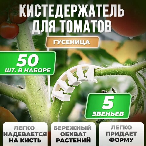Кистедержатель для томатов улитка 50 штук / Клипсы для опоры и поддержки кистей / Держатель для растений Россия