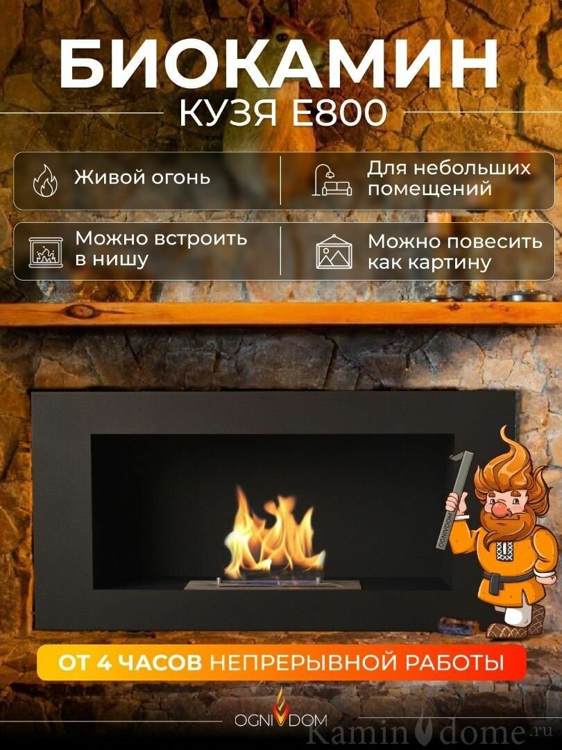 Биокамин OGNIVDOM Кузя E800