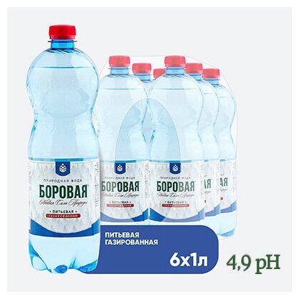 Вода BOROVAYA (Боровая), питьевая природная газированная, пэт 1 л х 6 шт - фотография № 1