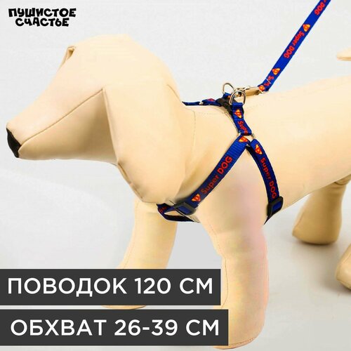 Комплект Super Dog, шлейка 26-39 см, поводок 120х1 см комплект косточка капрон 1 см 1 слойный шлейка 26 39см поводок 120см медальон