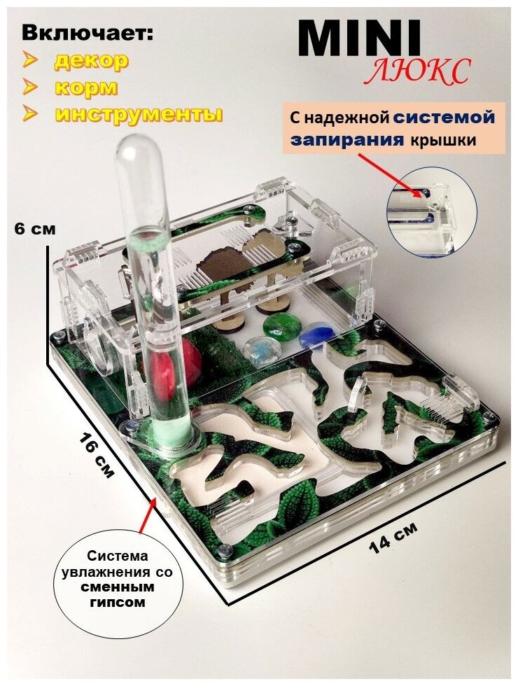 Муравьиная ферма "Мята" MINI 16*14 Комплект комбо - фотография № 1