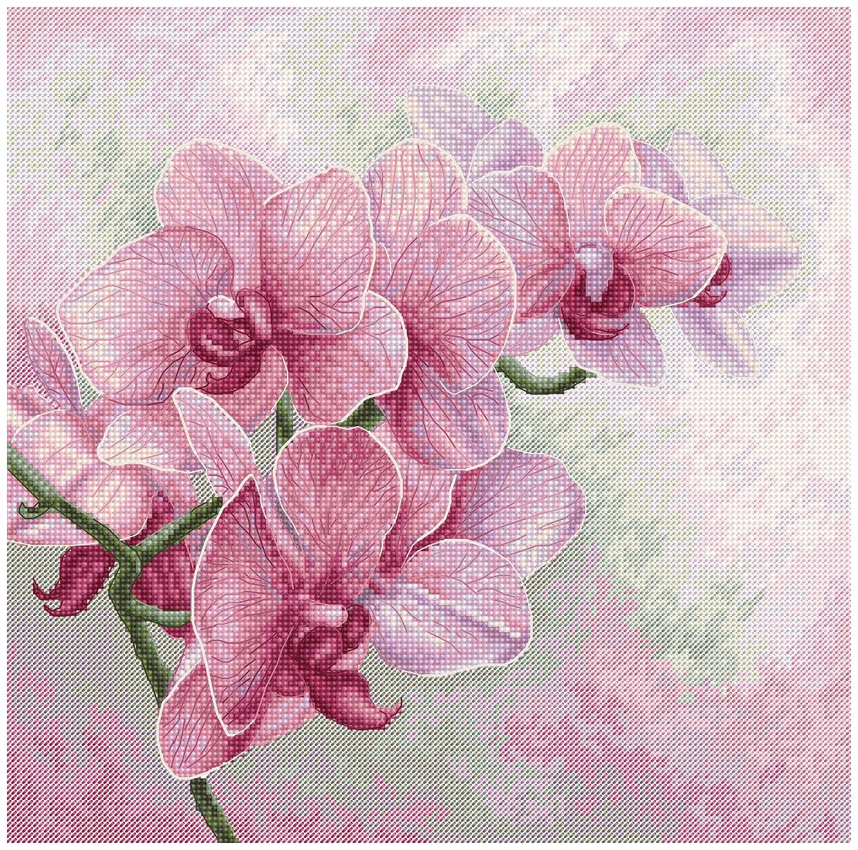 Набор для вышивания Изящные орхидеи 25 х 25 см LUCA-S B7009