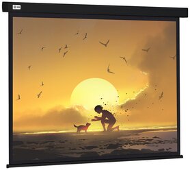 Экран Cactus 150x150см Wallscreen CS-PSW-150X150-BK 1:1 настенно-потолочный рулонный черный