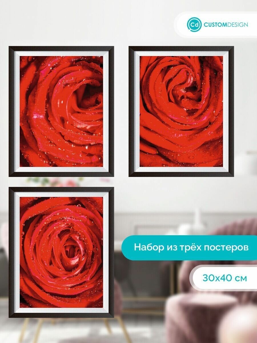 Постеры Розы 3 штуки №8