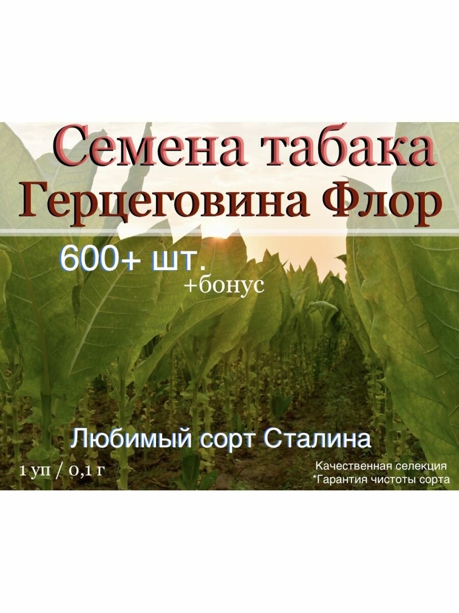 Семена табака Герцеговина Флор