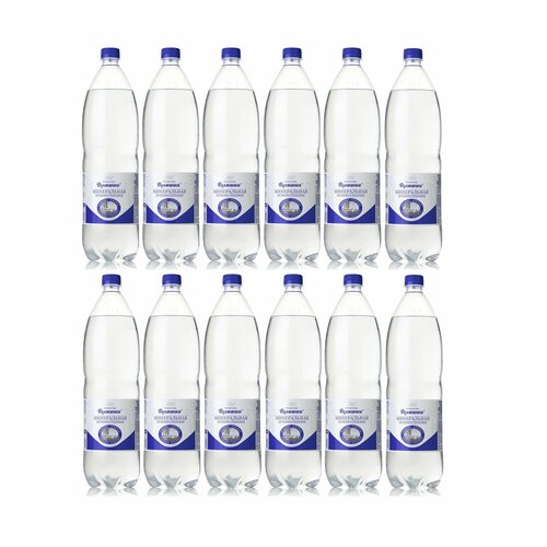 Волжанка минеральная вода газированная, 1,5 л х 12 шт.