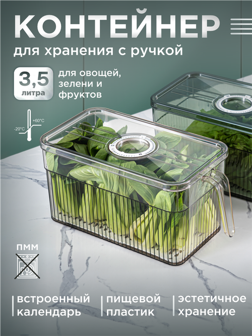 Органайзер для холодильника с крышкой SY-7048(S), ПЭТ 29,5х13,3х13,5см, Ihome