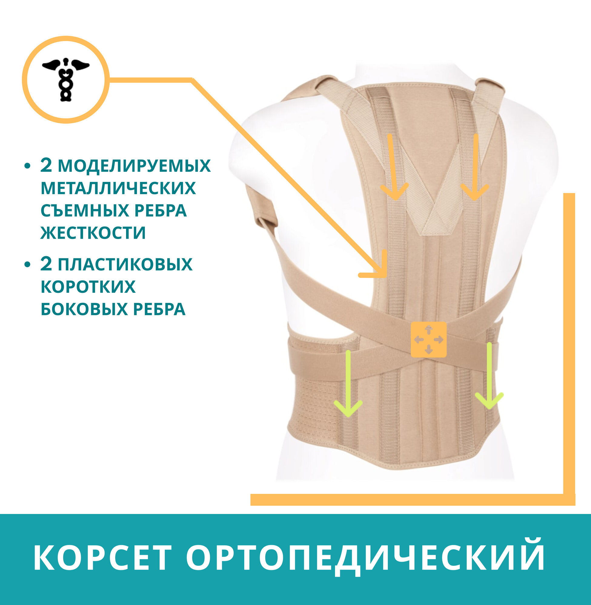 Корректор осанки для взрослых ECOTEN КК-01 с 2 моделируемыми ребрами жесткости, размер S