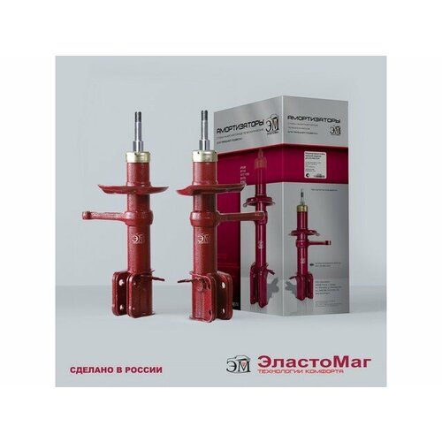 Амортизатор передний масляный ЭластоМаг ВАЗ 2170 цена за 2шт EM20895 10100₽