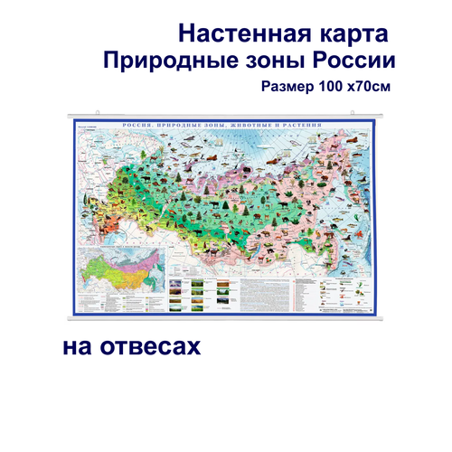 атлас принт природные зоны мира животные растения настенная карта размер 143х102см Атлас-принт Россия - природные зоны настенная карта / на рейках/ размер100х70