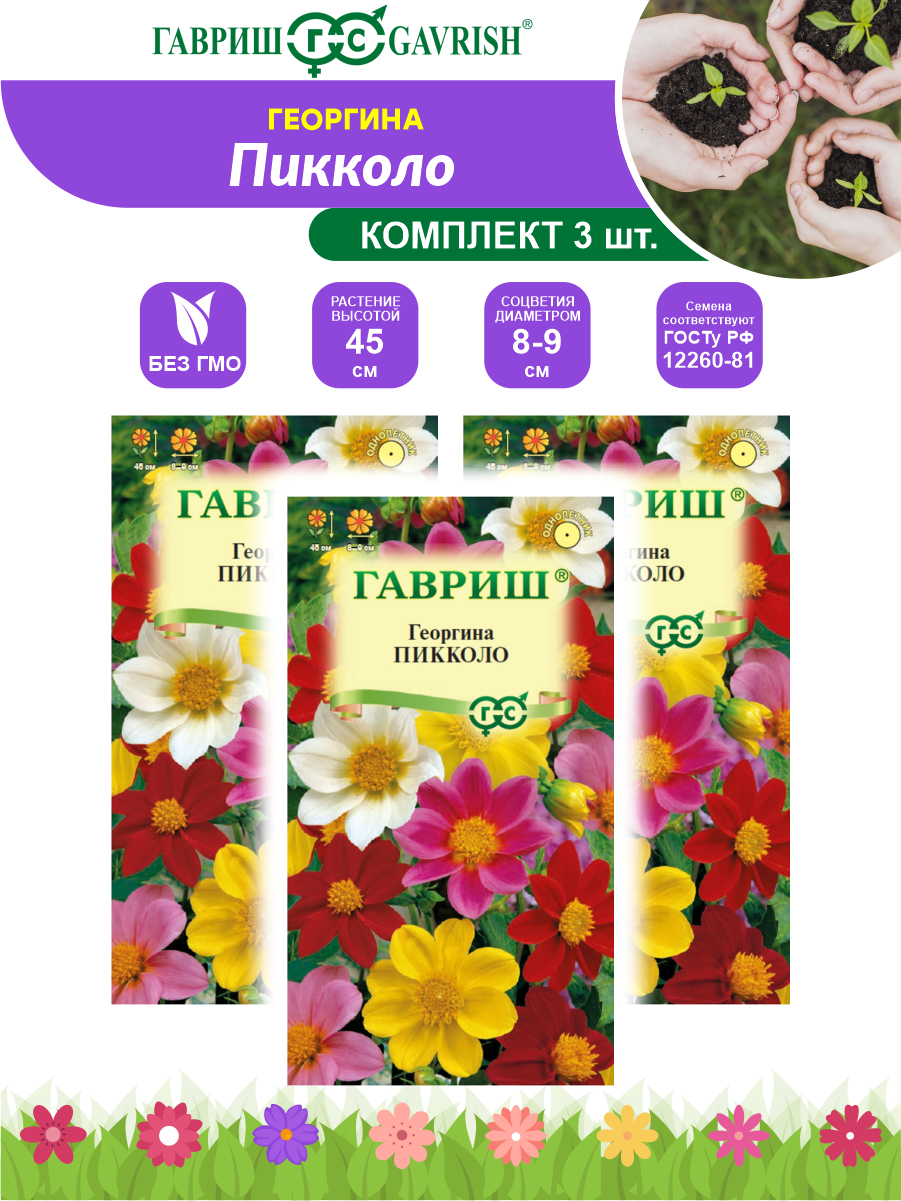 Семена Георгина Пикколо смесь х 3 шт.