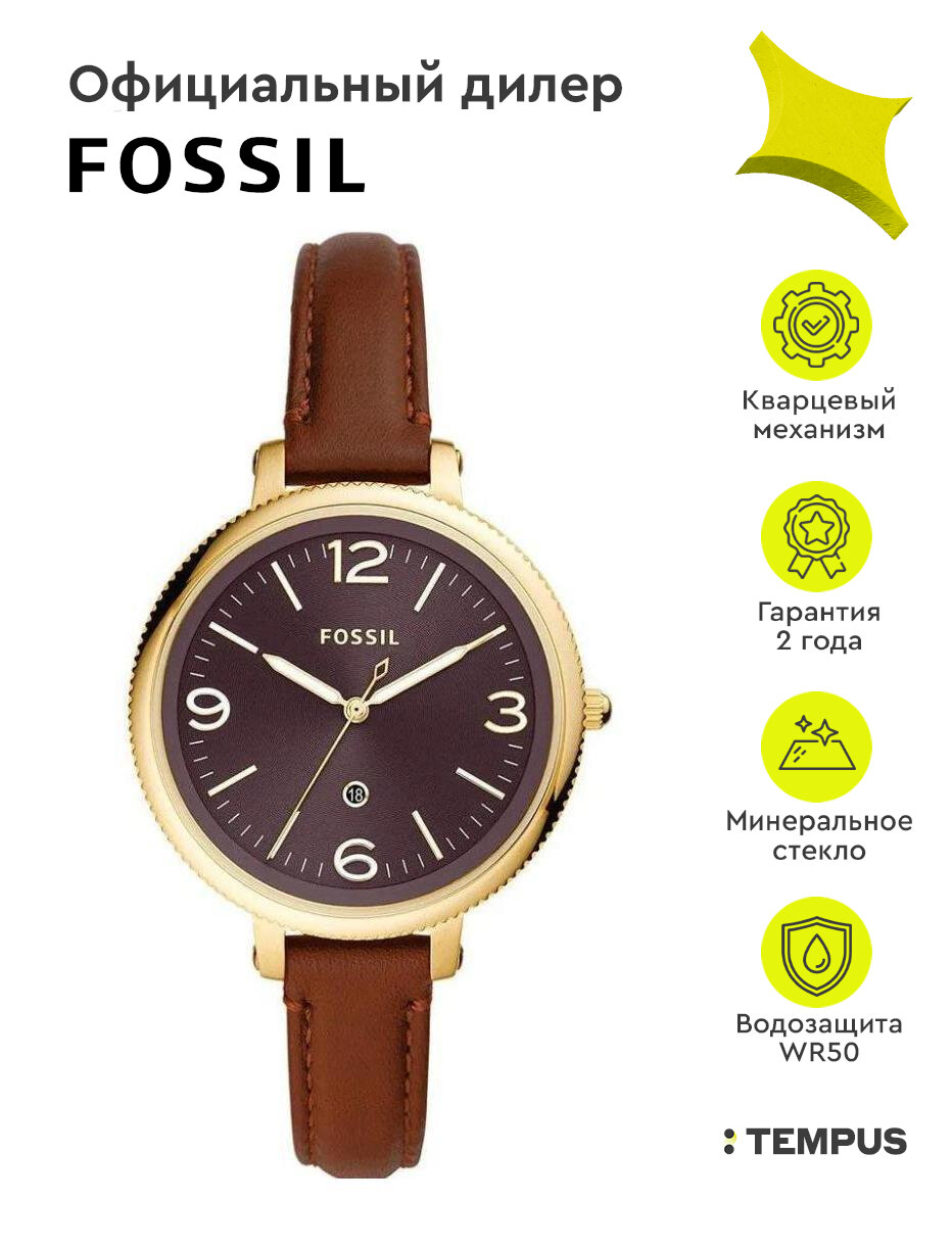 Женские наручные часы Fossil Monroe ES4943
