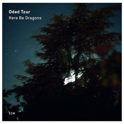 Виниловая пластинка Oded Tzur / Here Be Dragons (LP)