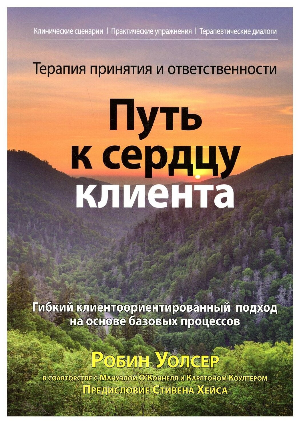 Терапия принятия и ответственности. Путь к сердцу клиента. Гибкий клиентоориентированный подход - фото №1