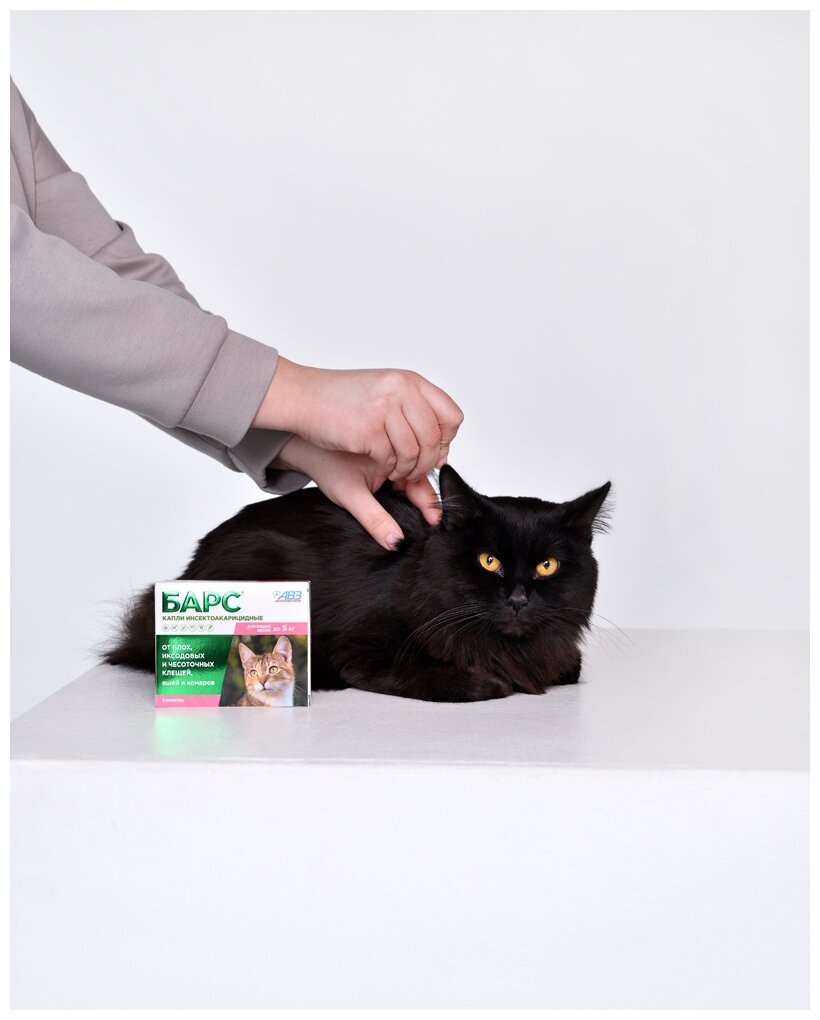 АВЗ капли от блох и клещей Барс инсектоакарицидные для пород весом до 5 кг для кошек от 2 до 5 кг 1 шт. в уп., 1 уп.