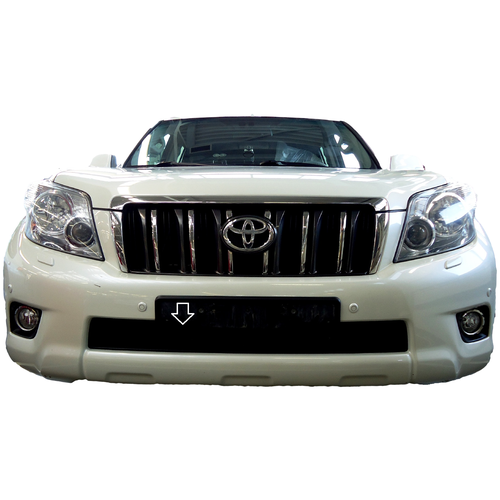 Защита радиатора (защитная сетка) Toyota LC Prado 150 2009-2014 черная