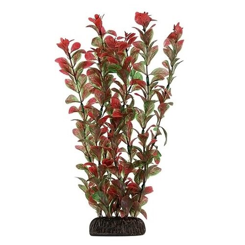 2952P Растение пласт 30см красное Людвигия вариегата 8