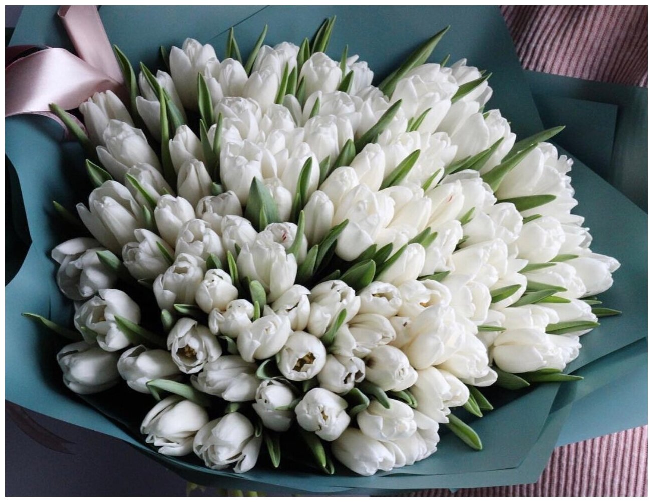 Букет Тюльпаны белые 101 шт, красивый букет цветов, шикарный, премиум букет.