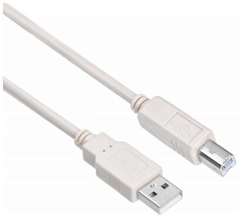 Кабель USB 2.0 AM-BM 5.0м Buro серый USB2.0-AM/BM-5 - фото №1