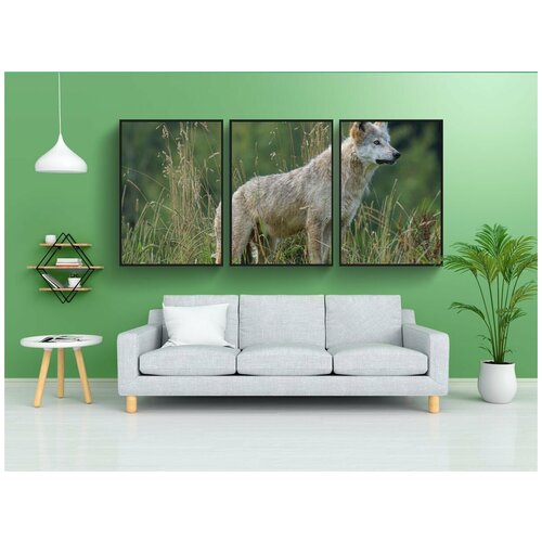 фото Набор модулных постеров для интерьера "волк, хищник, хищники" 60x90 см. в тубусе, без рамки lotsprints