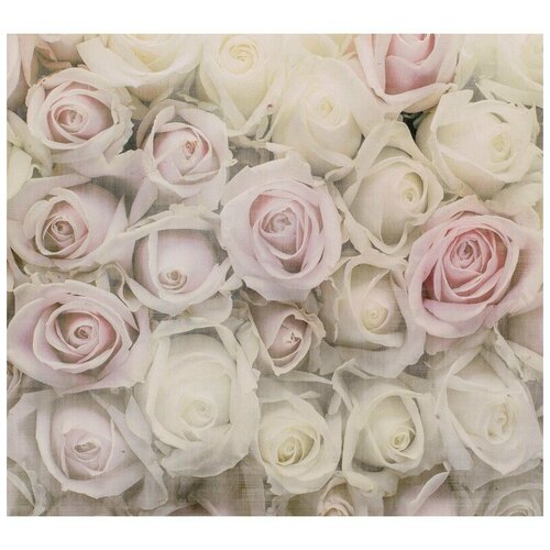 Фотообои Milan Розовая нежность M 518 200х180 см виниловые на флизелиновой основе 3190₽