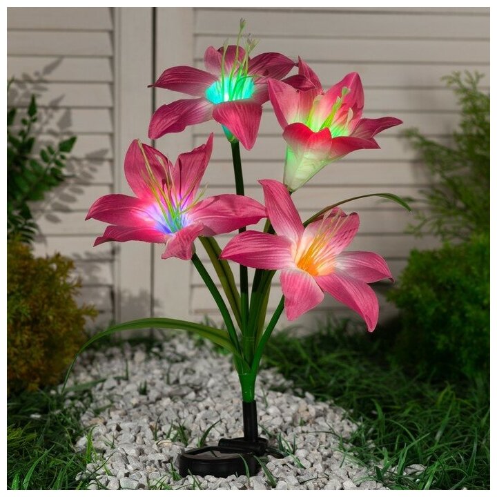 Светильник садовый на солнечной батарее "Лилия розовая" 80 см 4 LED мульти