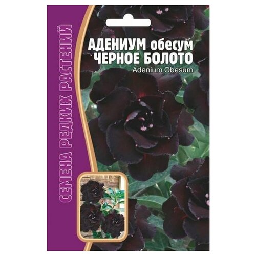 Семена Адениум черное болото Adenium Obesum (3 сем.)