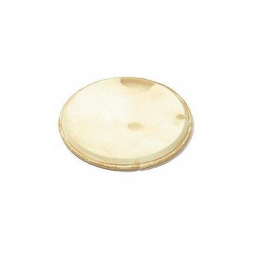 Кожа для джембе 13