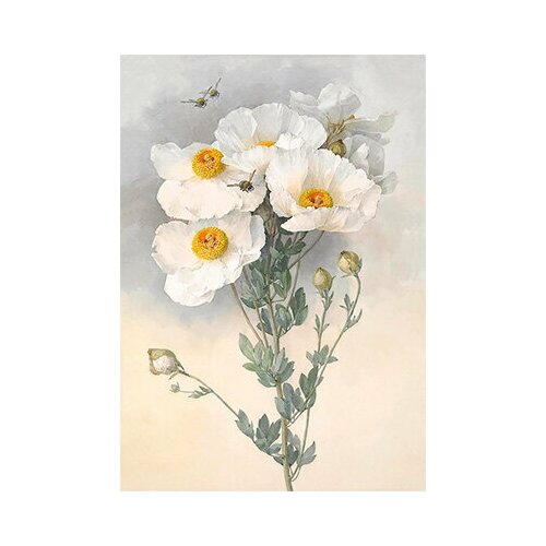Канва/ткань с рисунком Gamma Основа с рисунком для вышивания лентами 30 x 39 см OVB-0118 Белые цветы