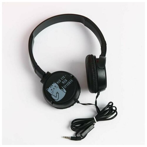 Наушники накладные Мой лук-мои правила с микрофоном черные 105600₽