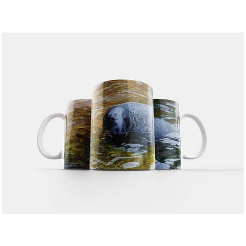 фото Кружка "тюлень, плавать, водные животные" 320 мл lotsprints