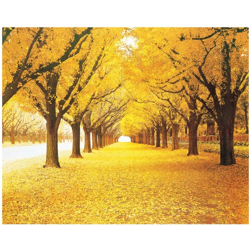 Фотообои Уютная стена Осенняя аллея 340х270 см Виниловые Бесшовные единым полотном 11940₽
