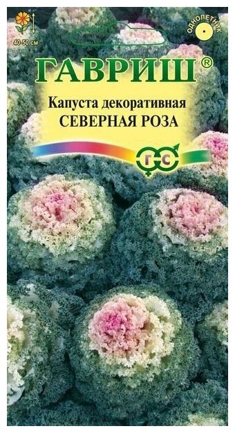 Капуста декоративная Северная роза