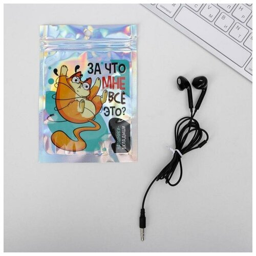 Наушники вкладыши в пакете Кот 10 х 15 см 37300₽