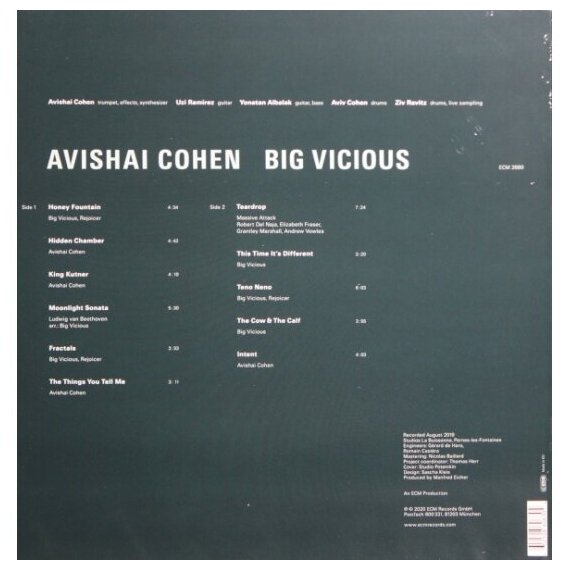 Avishai Cohen Avishai Cohen - Big Vicious (180 Gr) ECM Records - фото №3