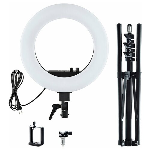 Светодиодная кольцевая лампа цвет золотой Pro Light EMOCEAN 795700₽