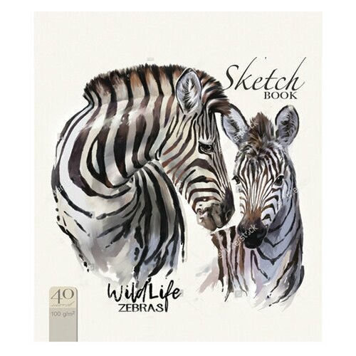 Скетчбук, комплект 10 шт, белая бумага 120 г/м2, 170х195 мм, 40 л, гребень, фольга, выборочный твин лак, 