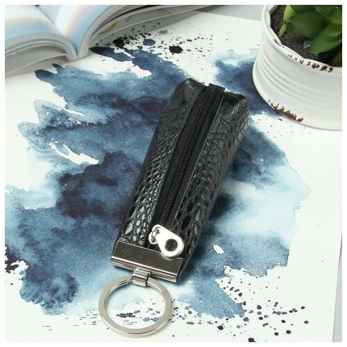 фото Ключница на молнии, длина 12 см, кольцо, цвет чёрный