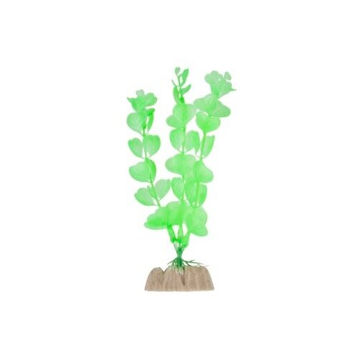 Glofish растение флуоресцирующее зеленое м 15 см 77367, 0,021 кг, 38605