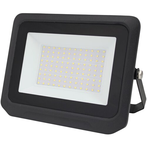 Светодиодный прожектор 100Вт/IP65/10000лм/6500K.