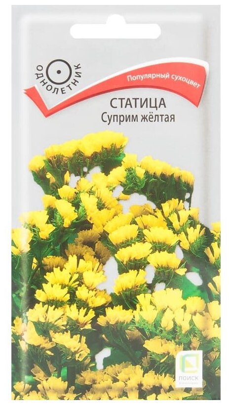 Статица 