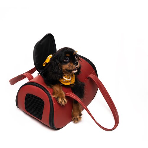 Переноска для собак, переноска для кошек, авиапереноска DANY размер М 20x40x25 см цвет бежевый сумка переноска для собак