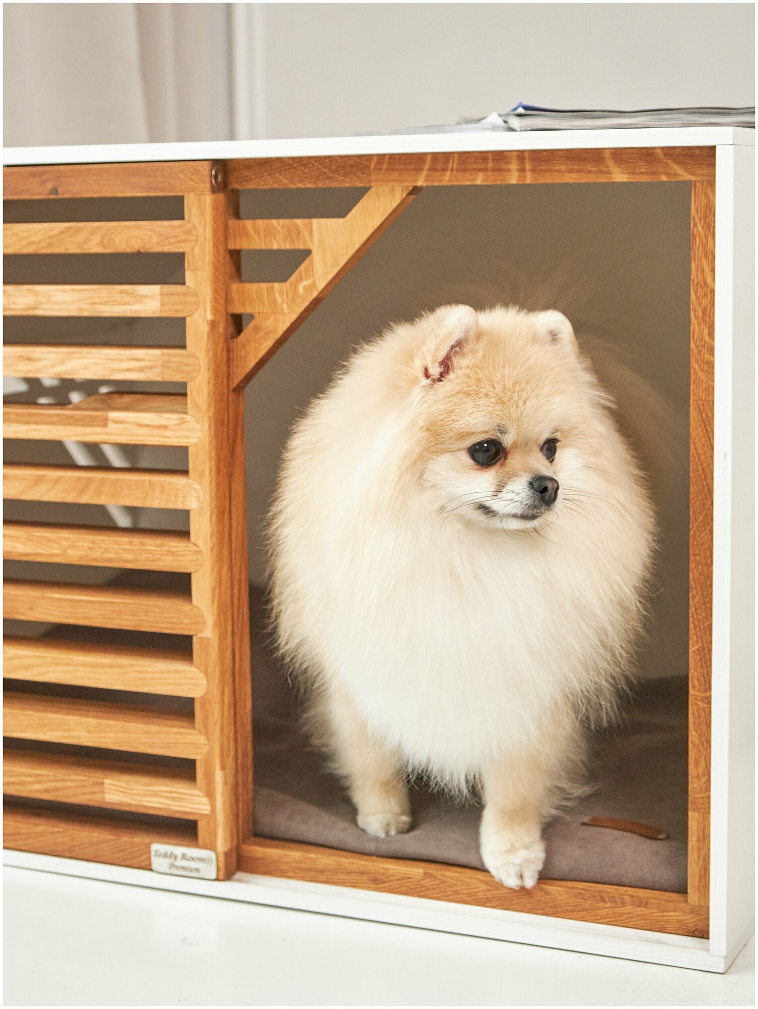 Домик для собак и кошек, домик для мелких и средних пород собак, вольер TeddyRoom Safe Home Wood White - фотография № 5