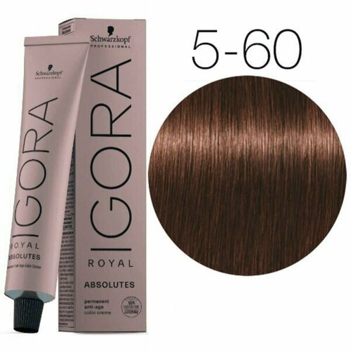 Schwarzkopf IGORA ROYAL Absolute 5-60 Светлый коричневый шоколадный натуральный Стойкая крем-краска для седых волос 60 мл